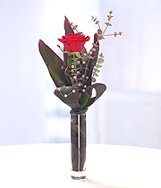 Single Red Rose Vase